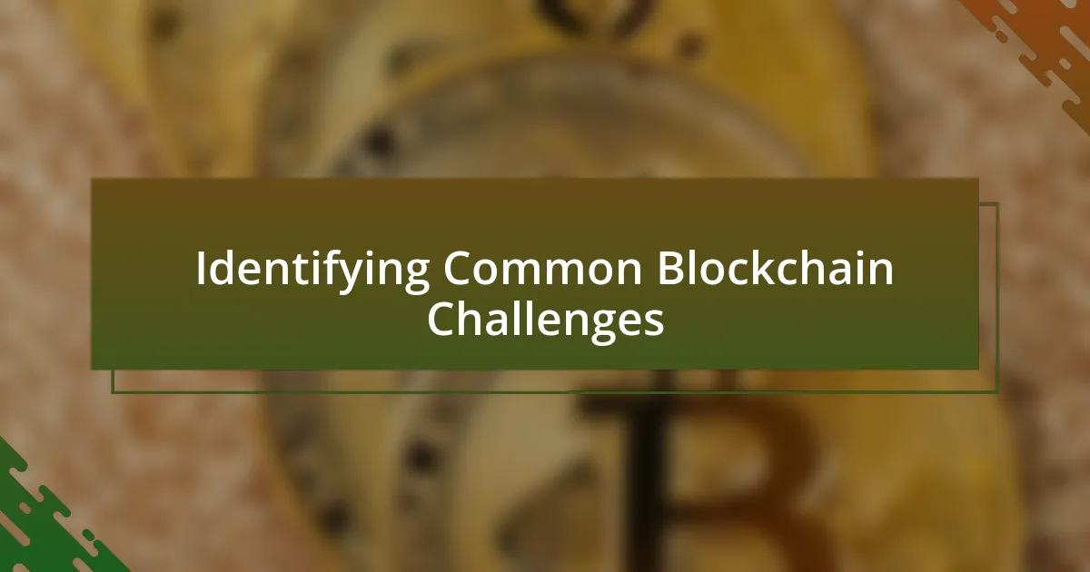 Identifying Common Blockchain Challenges